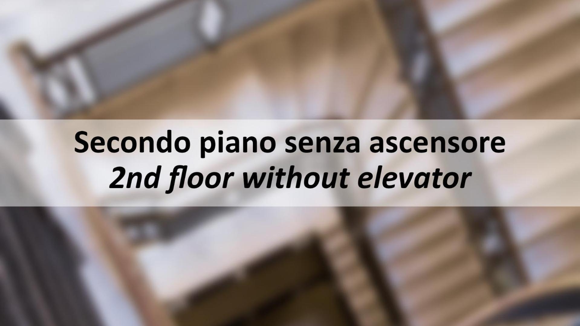 Mamo - San Marco *